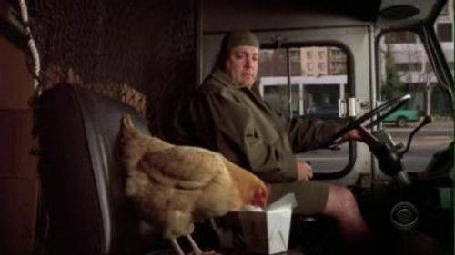 The King of Queens Season 9 Episode 8 - Offensive Fowl