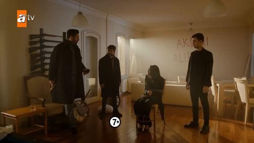 Street Birds Season 2 Episode 16 - Episode 37