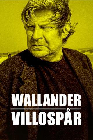 Wallander: Sidetracked poster