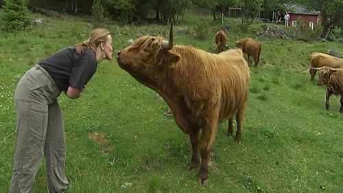 Der ingen skulle tru at nokon kunne bu Season 4 Episode 2 - Episode 2