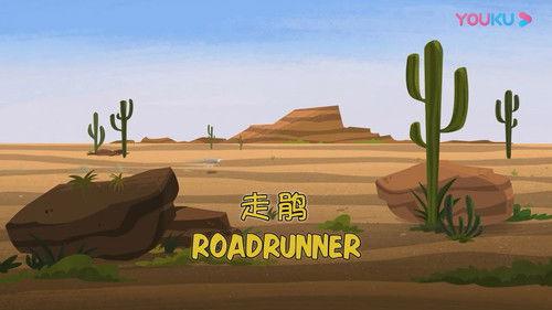 Wild Kratts Season 2 Episode 16 - Road Runner