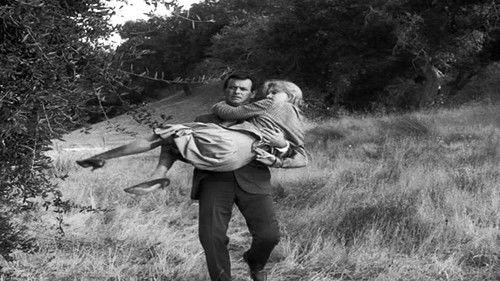 The Fugitive Season 3 Episode 19 - Echo of a Nightmare