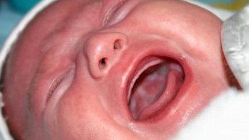 Zembla Season 14 Episode 13 - Oude moeders