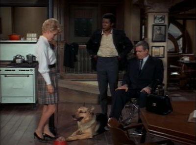 Ironside Season 2 Episode 12 - Sergeant Mike