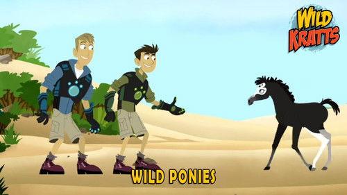 Wild Kratts Season 5 Episode 7 - Wild Ponies