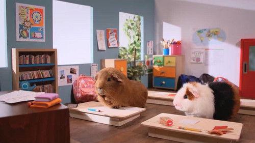 Cochon dingue Season 5 Episode 24 - Episode 24