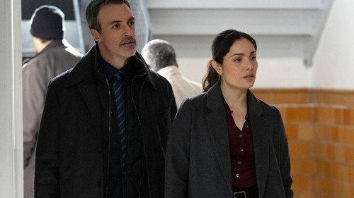 Law & Order Season 24 Episode 19 - Play with Fire (I)