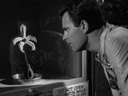 The Outer Limits Season 1 Episode 22 - Specimen: Unknown