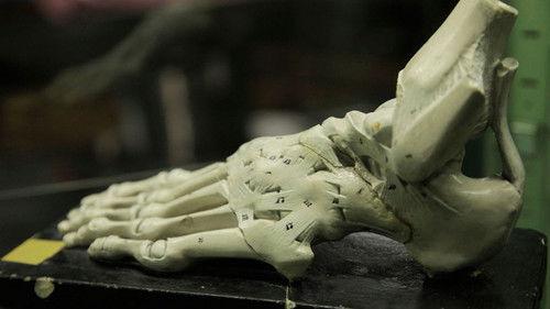 Dissected Season 1 Episode 2 - The Incredible Human Foot