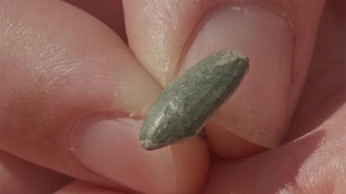 Time Team Season 21 Episode 7 - Knights Hospitaller Preceptory: Day One