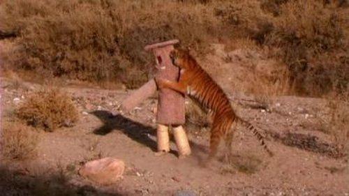 Wildboyz Season 3 Episode 6 - India III