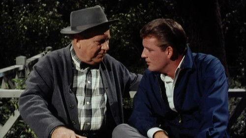Petticoat Junction Season 4 Episode 4 - He Loves Us, He Loves Us Not