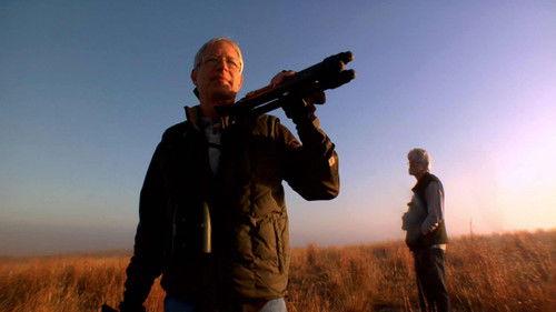 POV Season 24 Episode 8 - POV Short Cuts