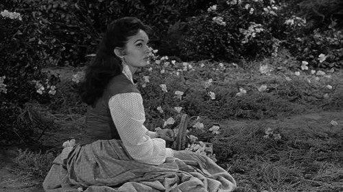 Wagon Train Season 3 Episode 6 - The Martha Barham Story