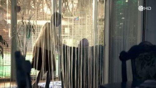 Der letzte Bulle Season 2 Episode 13 - Missed Opportunity