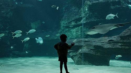 Donkerbos Season 1 Episode 7 - The Dogs