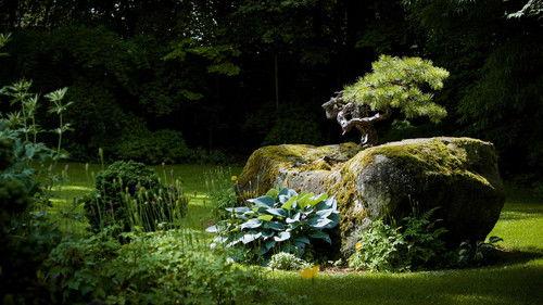 Hinter den Hecken Season 6 Episode 9 - Episode 9