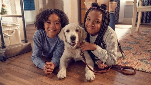 Puppy Place Season 1 Episode 1 - Goldie