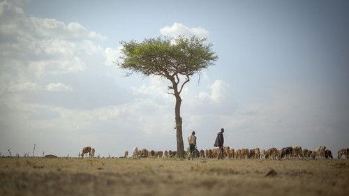 Overbooked Season 1 Episode 3 - The Environmental Impacts