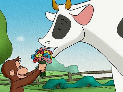 Curious George Season 1 Episode 47 - Keep Out Cows