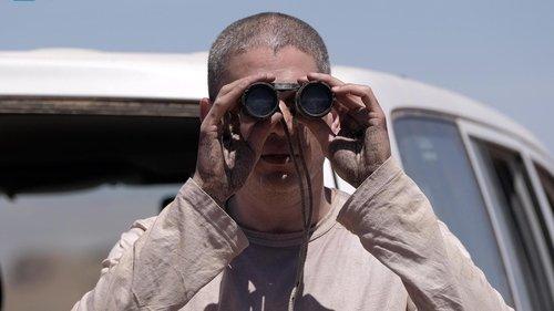 Prison Break Season 5 Episode 6 - Phaecia