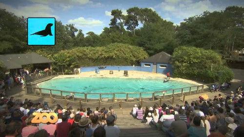 Une saison au zoo Season 4 Episode 3 - Episode 3