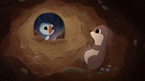 Puffin Rock Season 3 Episode 17 - Hide and Swim