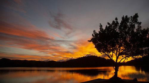 The Island Diaries Season 4 Episode 6 - Palau