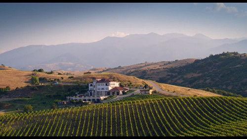 The Grapes of Guilt Season 2 Episode 1 - Riesling