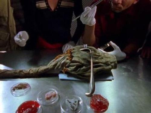 Tremors Season 1 Episode 5 - Flora or Fauna