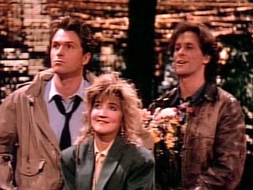 Wings Season 1 Episode 3 - Return to Nantucket (1)