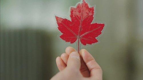 Goblin Season 1 Episode 4 - I Won't Leave You