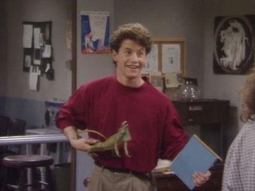 Growing Pains Season 5 Episode 23 - Mike the Director