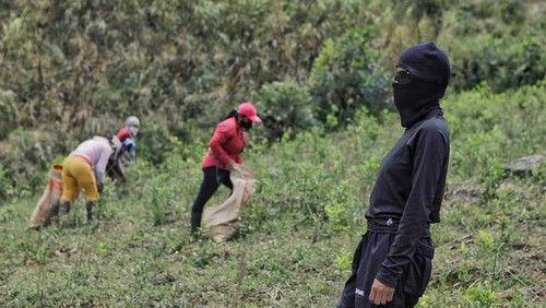 Trafficked with Mariana van Zeller Season 2 Episode 8 - Cocaine Queens