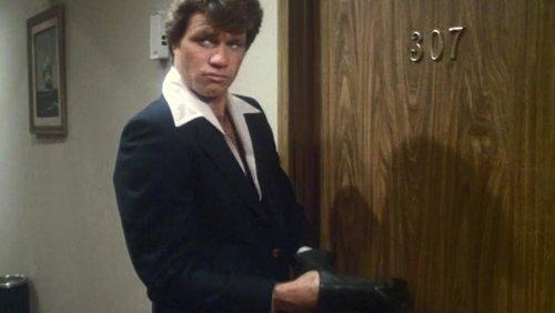 Starsky & Hutch Season 4 Episode 15 - Birds of a Feather