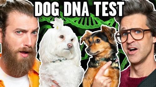 Good Mythical Morning Season 23 Episode 4 - Link Is Shocked By Dog DNA Results