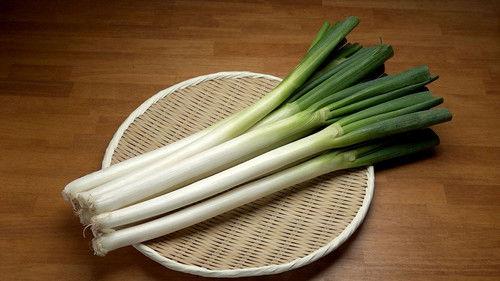 Trails to Oishii Tokyo Season 3 Episode 11 - NEGI