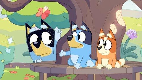 Bluey Season 3 Episode 6 - Born Yesterday