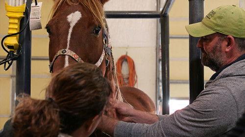 Heartland Docs, DVM Season 4 Episode 5 - Foal New World