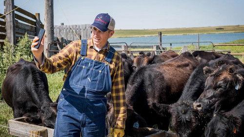 Making Good Season 3 Episode 1 - Farm Rescue