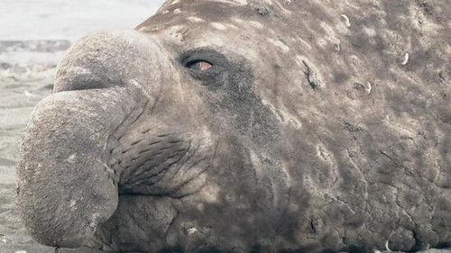 72 Dangerous Animals: Latin America Season 1 Episode 9 - Episode 9