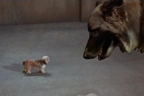 Land of the Giants Season 2 Episode 8 - Every Dog Needs a Boy