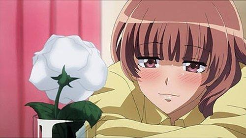 Maid Sama! Season 1 Episode 10 - Sakura's Indie-Label Love