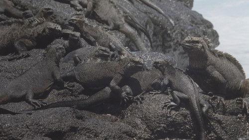 Kingdom of the Oceans Season 1 Episode 4 - Fire and Ice