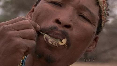 The Amazing Race Season 22 Episode 6 - Scorpion King Hunter