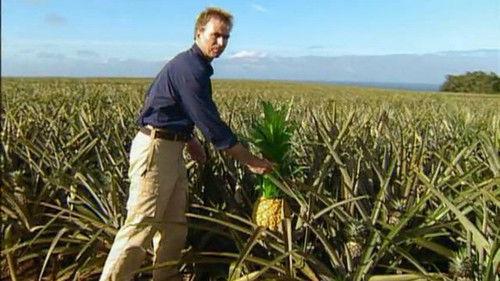 The Amazing Race Season 2 Episode 11 - Follow That Plane!