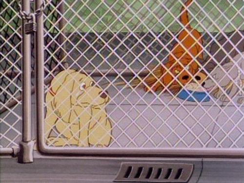 It's Punky Brewster Season 1 Episode 5 - Punky Wise and Pound Foolish / A Small Mistake