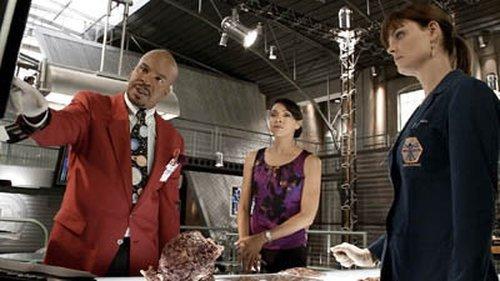 Bones Season 6 Episode 4 - The Body and the Bounty