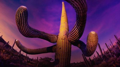 The Green Planet Season 1 Episode 5 - Human Worlds