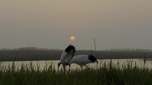 Unexplored Land Season 1 Episode 2 - Episode 2